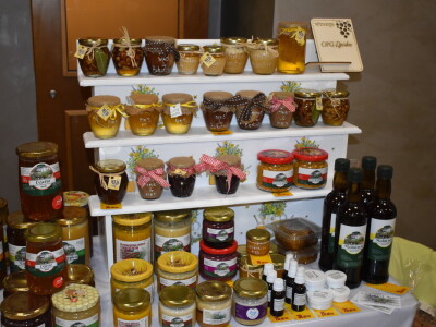 WineOS 2019 - Osijek Wine Fest - 1. dan