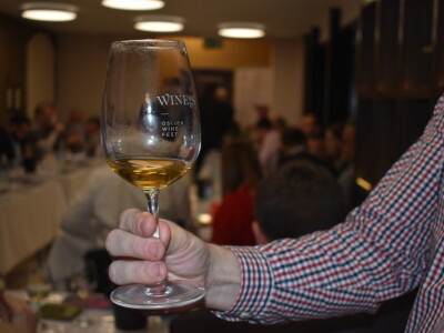 WineOS 2019 - Osijek Wine Fest - 1. dan