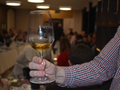 WineOS 2019 - Osijek Wine Fest - 1. dan