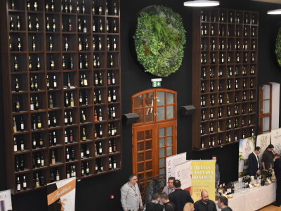 WineOS 2019 - Osijek Wine Fest - 1. dan