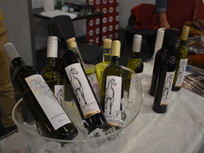 WineOS 2022 - Osijek Wine Fest - 1. dan