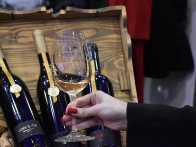WineOS 2023.