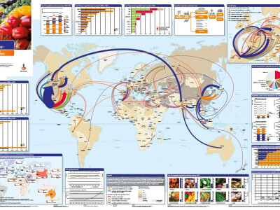 Karta kretanja trgovine povrća u 2018. (Rabobank)