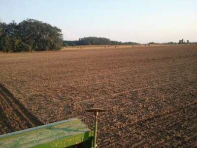 Sjetva uljane repice Sjetva uljane repice