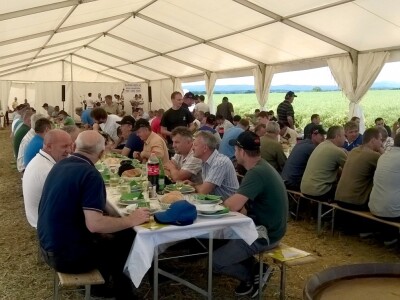 Pioneer hibridi uljane repice