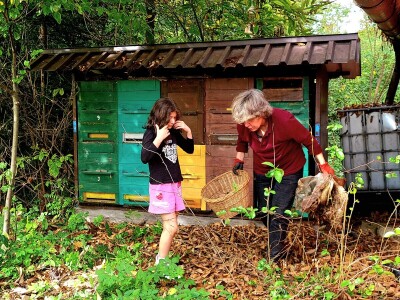 Radovi u pčelinjaku Radovi u pčelinjaku