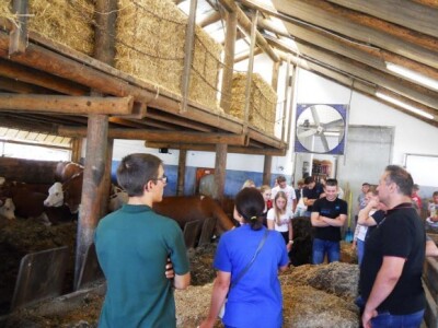 Školska farma krava Školska farma krava