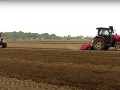 Yanmar