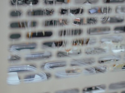 Bosna i Hercegovina dobila prvi domaći sladoled i sirovine su naše