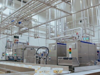 Bosna i Hercegovina dobila prvi domaći sladoled i sirovine su naše