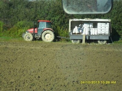 Sjetva ječma na OPG Kaladić