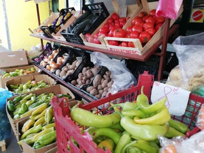 Za kvalitetno povrće je najvažnija ljubav Za kvalitetno povrće je najvažnija ljubav