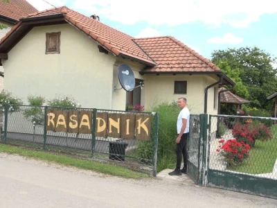 Za uspešno gajenje ruža, potrebno najviše ljubavi