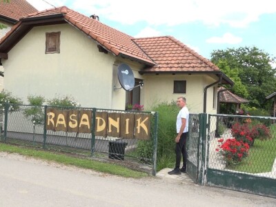 Za uspešno gajenje ruža, potrebno najviše ljubavi