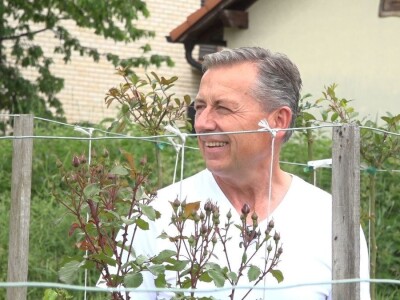 Za uspešno gajenje ruža, potrebno najviše ljubavi