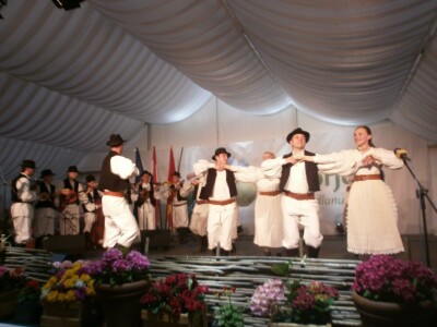 Nastup Ansambla Zabok