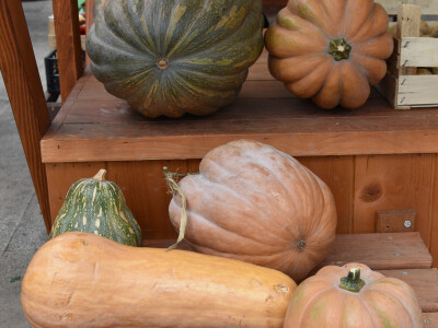 Zadarska tržnica u podne
