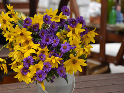 Zadarska tržnica u podne