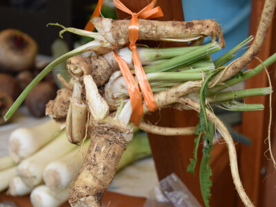 Zadarska tržnica u podne