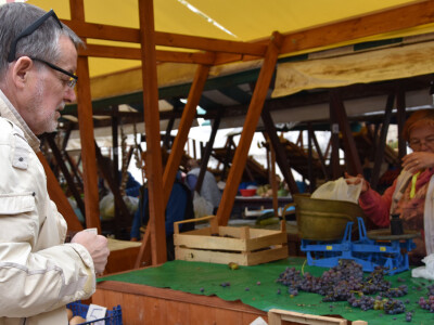 Zadarska tržnica u podne