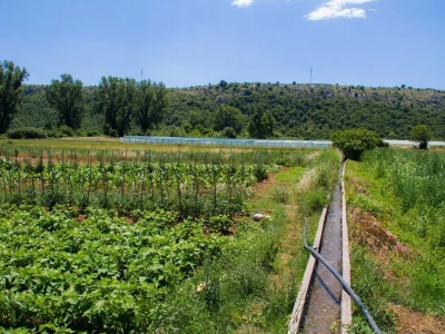 Zadruga "Hercegovka"- Snaga žena iz Stoca