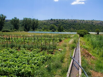 Zadruga "Hercegovka"- Snaga žena iz Stoca