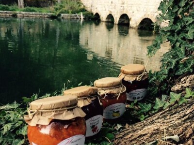 Zadruga "Hercegovka"- Snaga žena iz Stoca