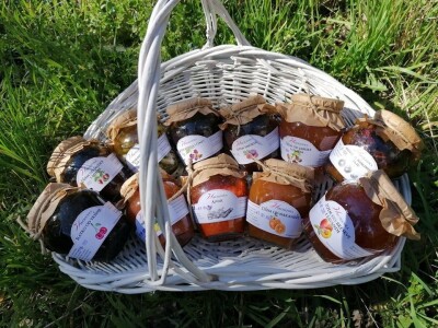 Zadruga "Hercegovka"- Snaga žena iz Stoca