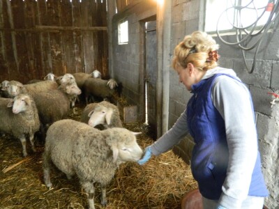 Zadruga jača gazdinstva u Pomoravlju Zadruga jača gazdinstva u Pomoravlju