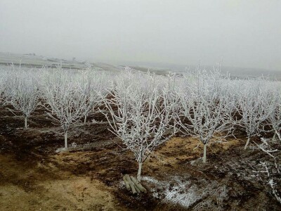 Mladi proizvođači udruživanjem do bolje tržišne pozicije