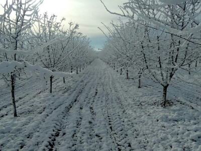 Mladi proizvođači udruživanjem do bolje tržišne pozicije