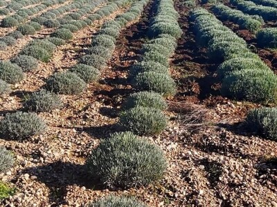 Zadruga za etično financiranje