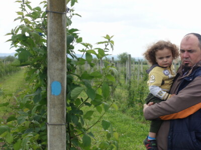 Zadruga za etično financiranje