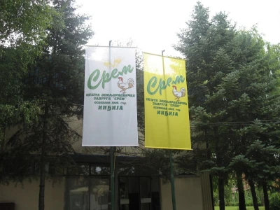 Zadrugarstvo