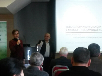 Zadruge - proizvođačke organizacije