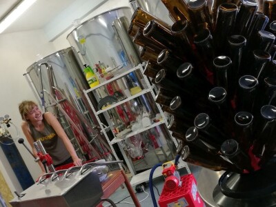 Zadružno pivo: Svi bi Plavušu i neposlušnu iz Brloga!