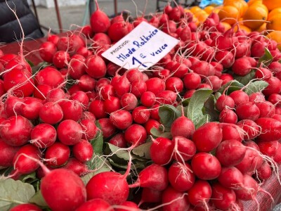 Zagrebačka tržnica Dolac ide u sanaciju, prodavači razočarani novim pozicijama