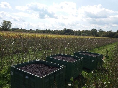 Zagrebačka županija