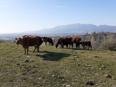 Zagrebačka županija