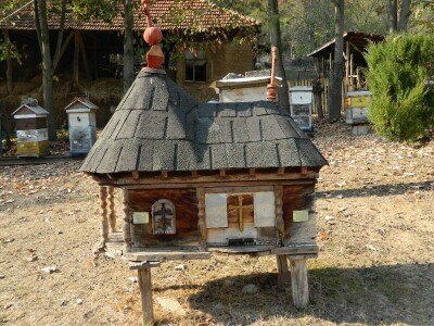 Zahvalnost za sve što su pčele učinile za njega