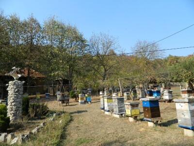 Zahvalnost za sve što su pčele učinile za njega