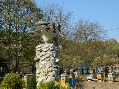 Zahvalnost za sve što su pčele učinile za njega