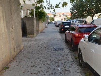 Zanemarivanje smokve