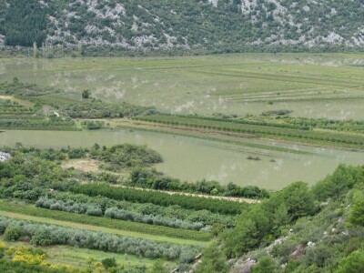 Poljoprivredne kulture u gorenjem-zapadnom dijelu Vrgoračko-neretvanskom polju pod vodom