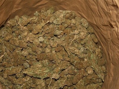 Zaplijenjena marihuana