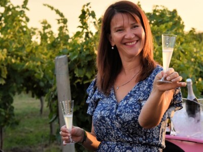 Započela berba grožđa u vinogradima Feravina