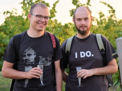 Započela berba grožđa u vinogradima Feravina