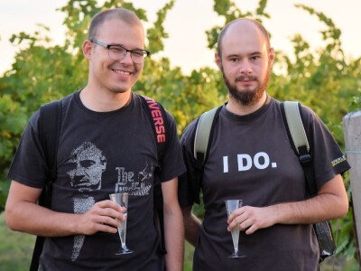 Započela berba grožđa u vinogradima Feravina