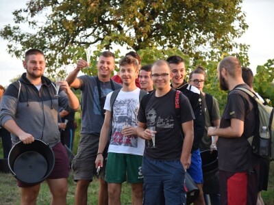 Započela berba grožđa u vinogradima Feravina