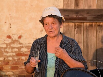 Započela berba grožđa u vinogradima Feravina